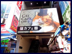 Cat Café, Harajuku